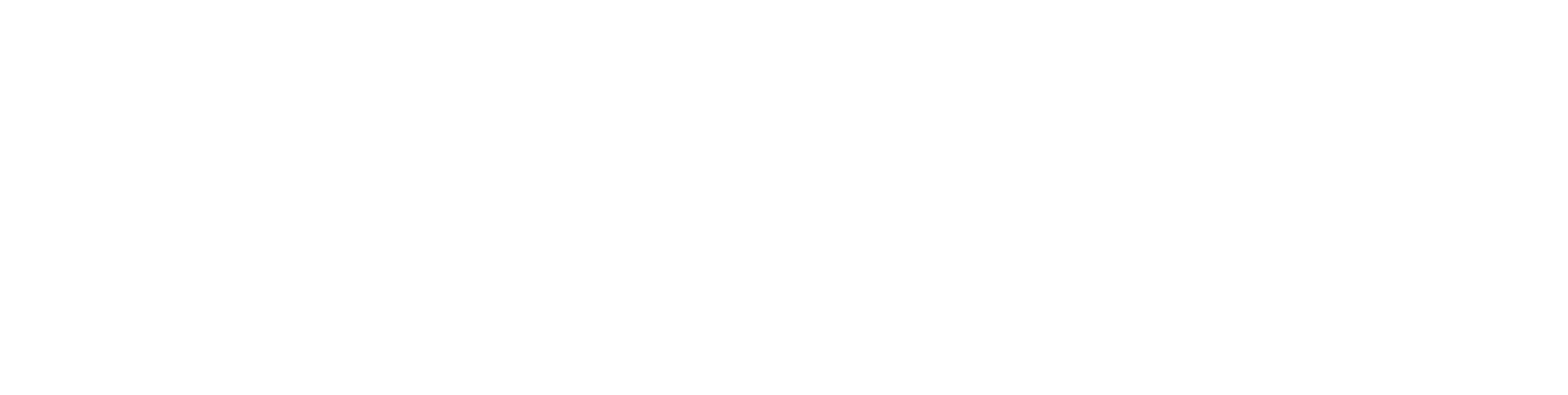 Hyperledger Fabric White